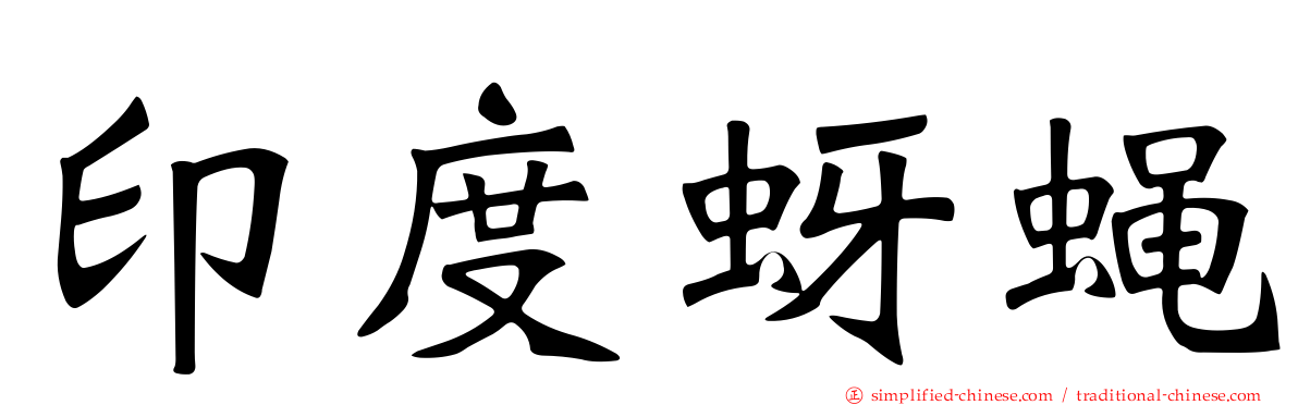 印度蚜蝇