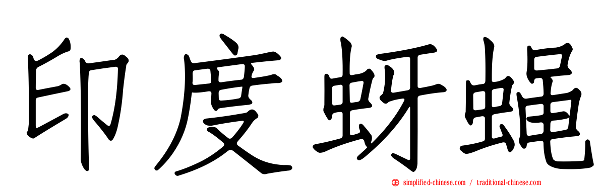 印度蚜蝇