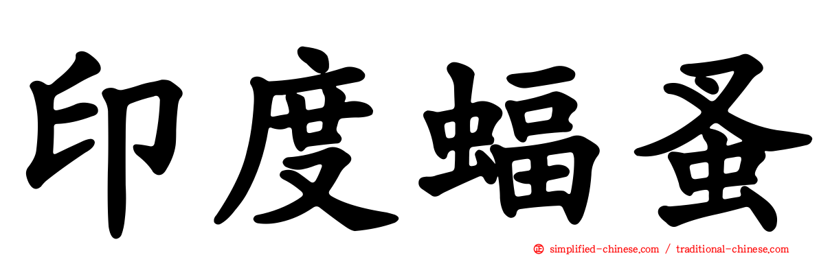 印度蝠蚤