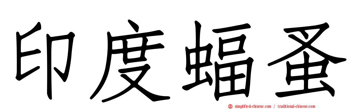 印度蝠蚤