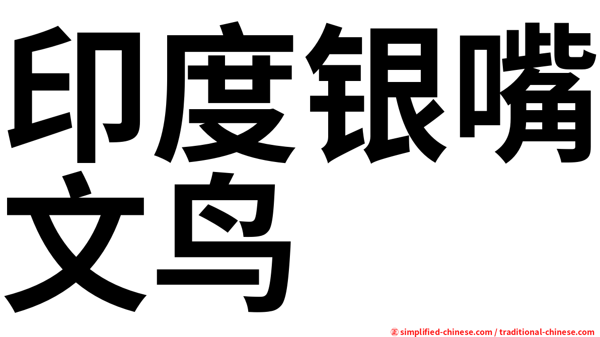 印度银嘴文鸟