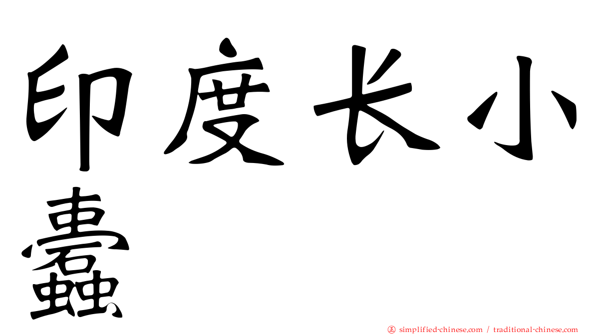 印度长小蠹