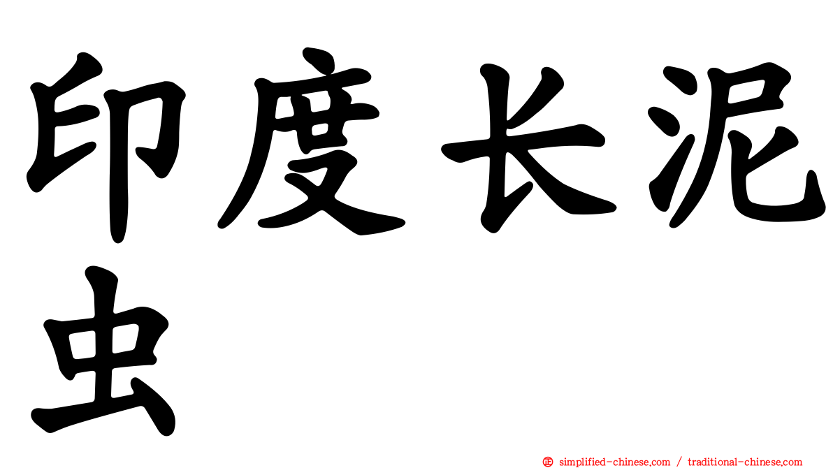 印度长泥虫