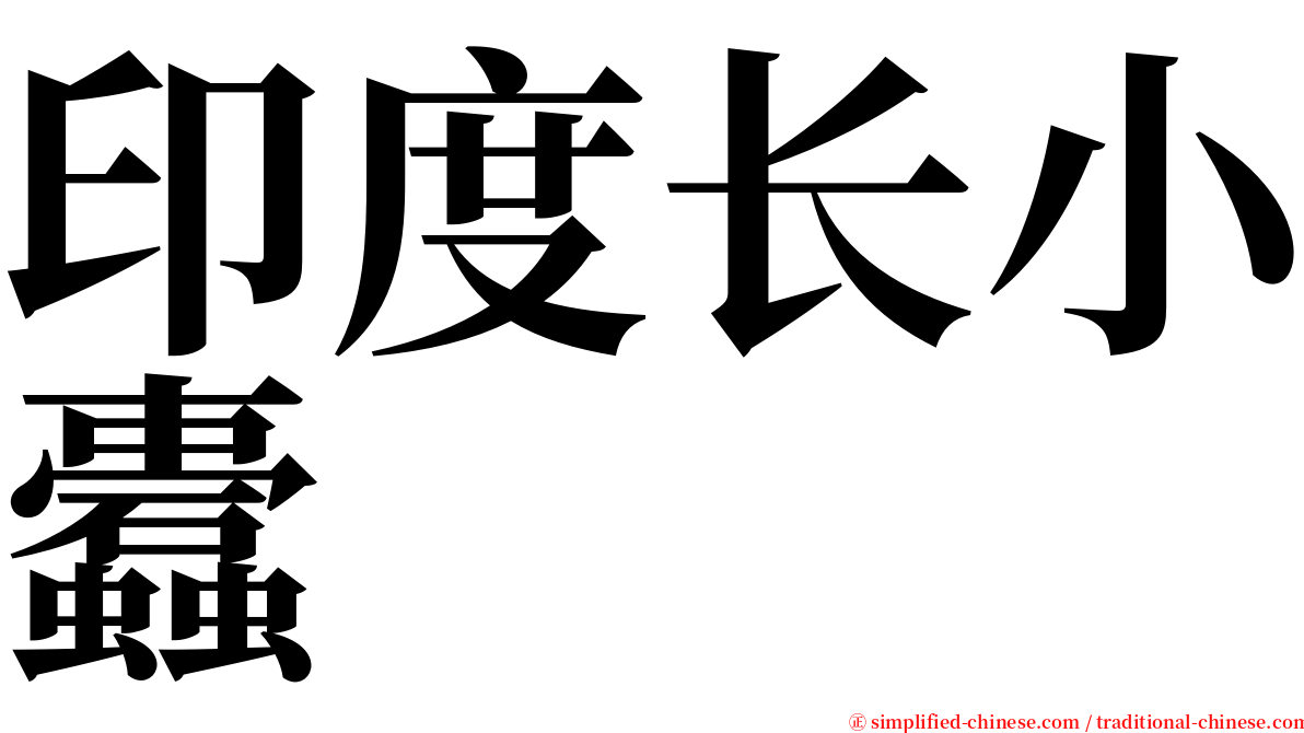 印度长小蠹 serif font