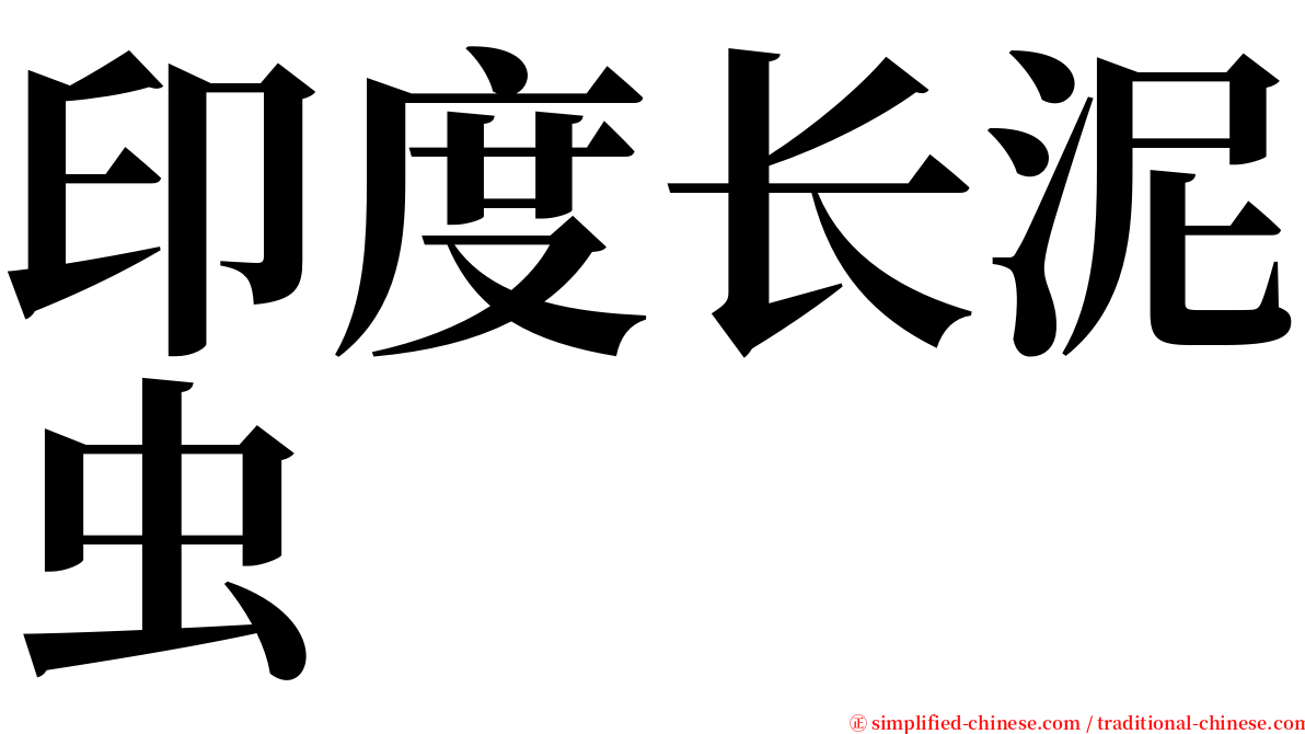 印度长泥虫 serif font