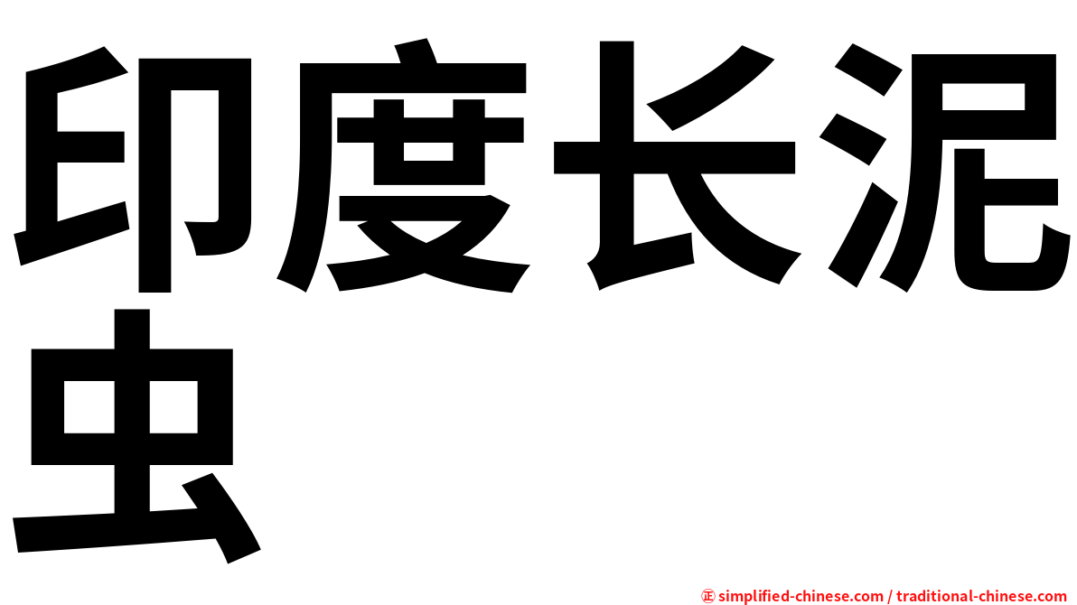 印度长泥虫