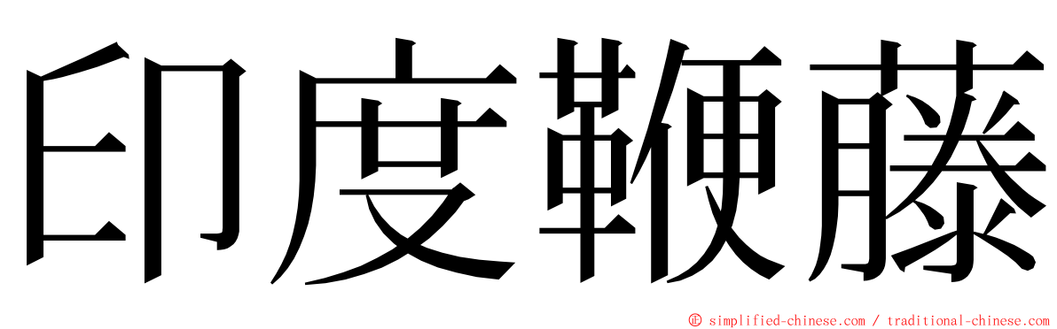 印度鞭藤 ming font