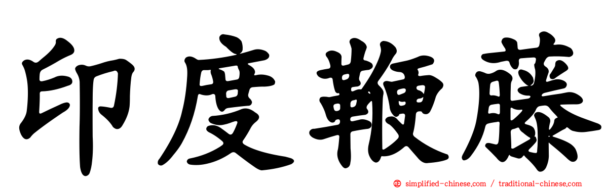 印度鞭藤