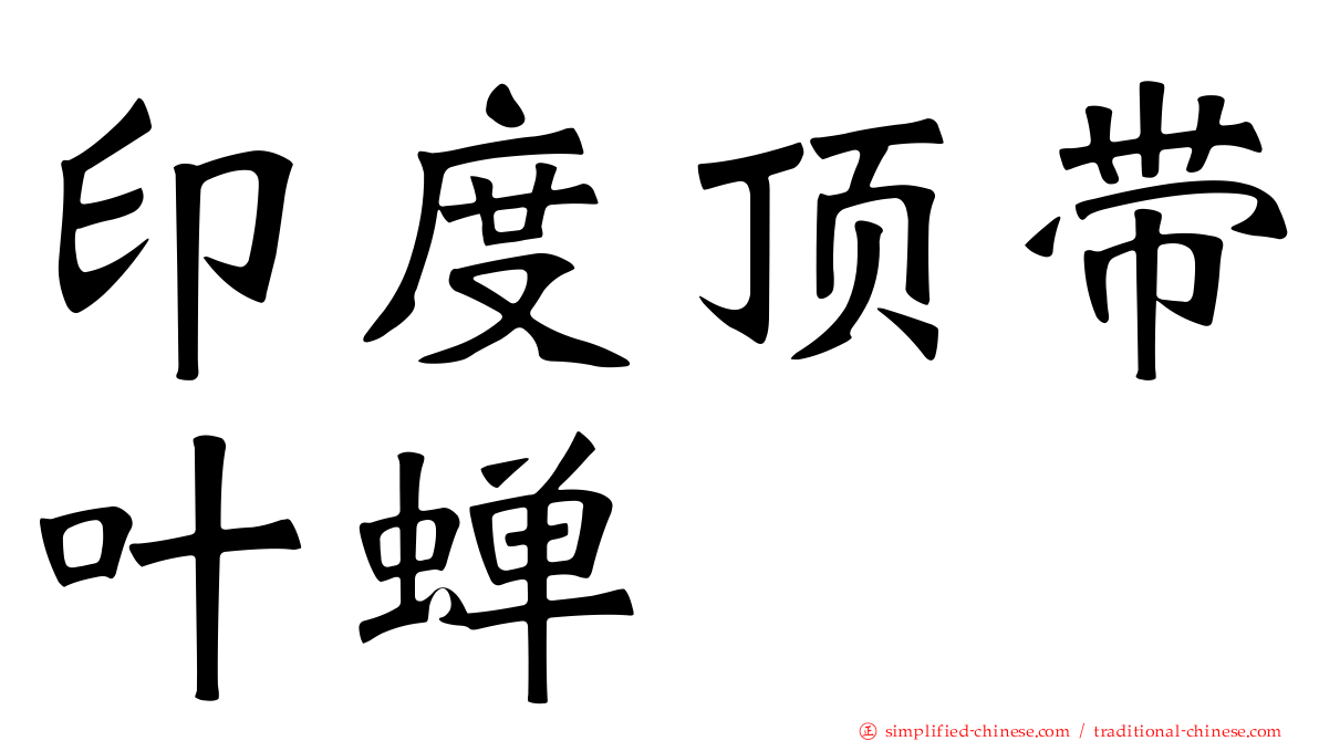 印度顶带叶蝉