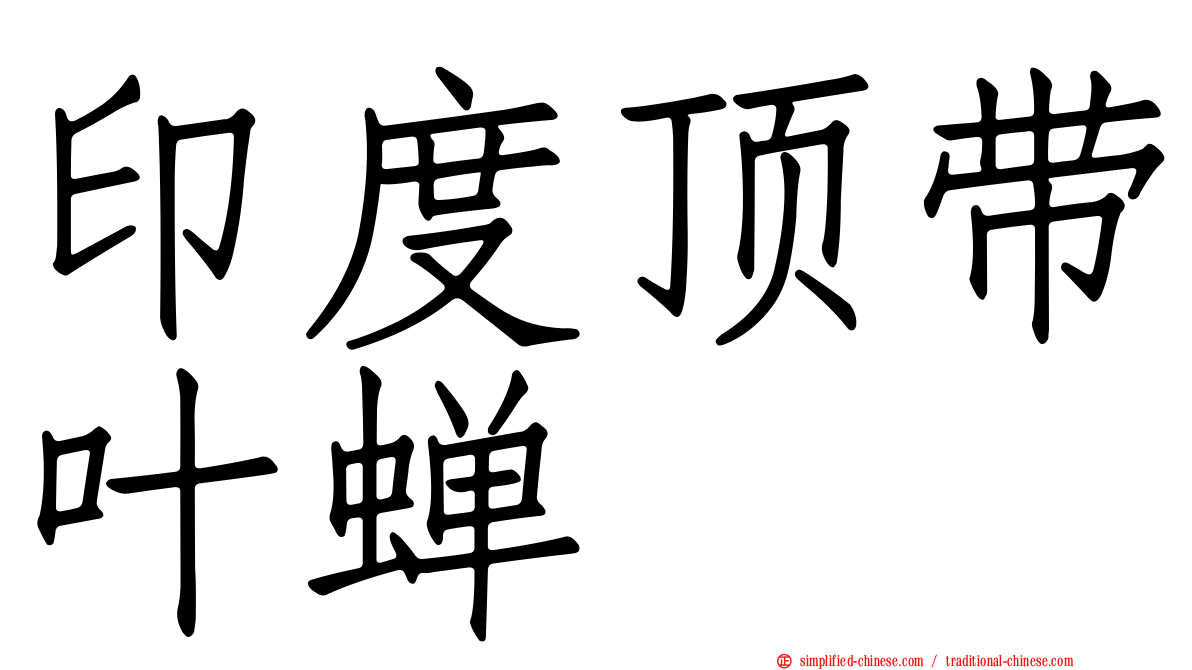 印度顶带叶蝉