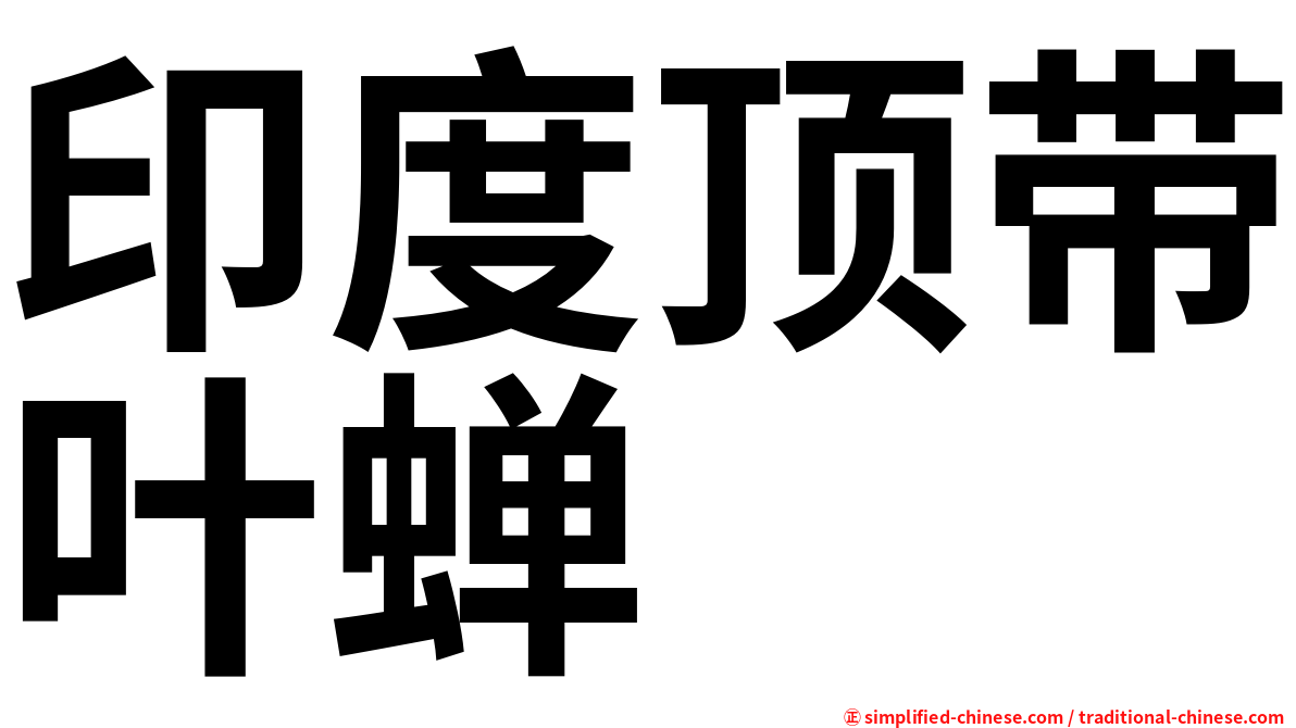 印度顶带叶蝉