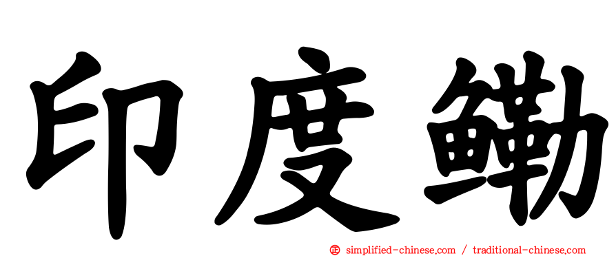 印度鳓