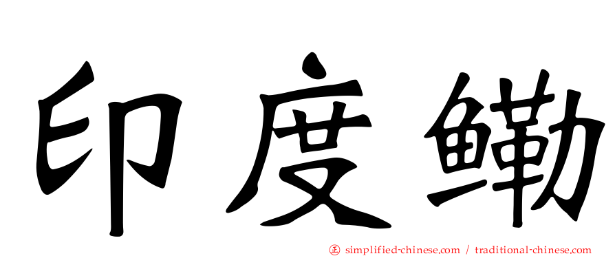 印度鳓