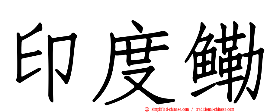 印度鳓
