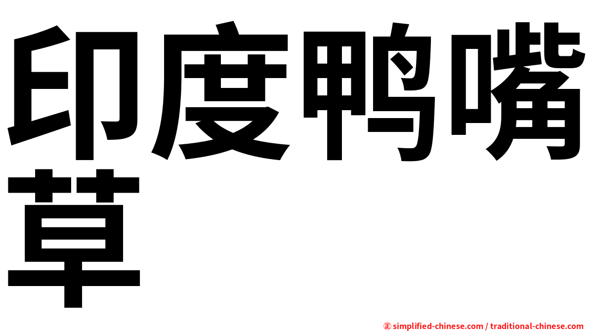 印度鸭嘴草