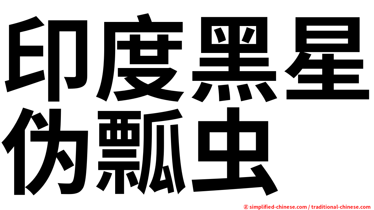 印度黑星伪瓢虫