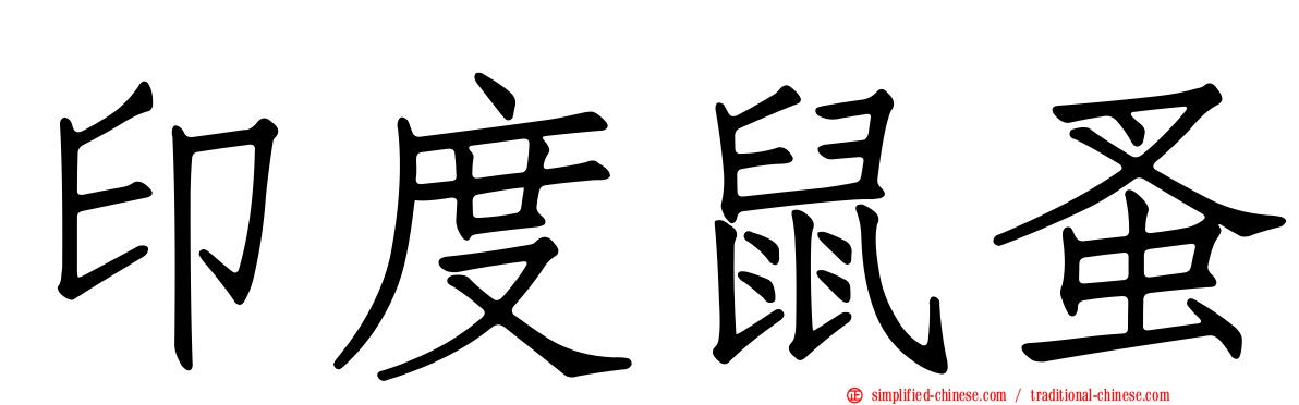 印度鼠蚤