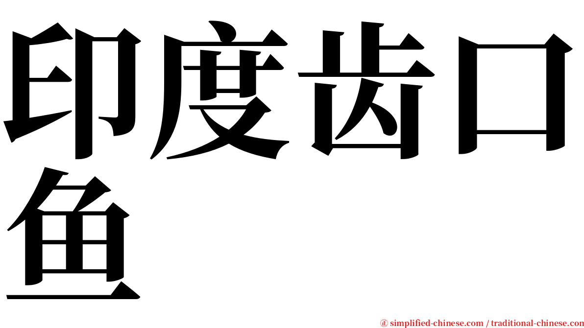 印度齿口鱼 serif font