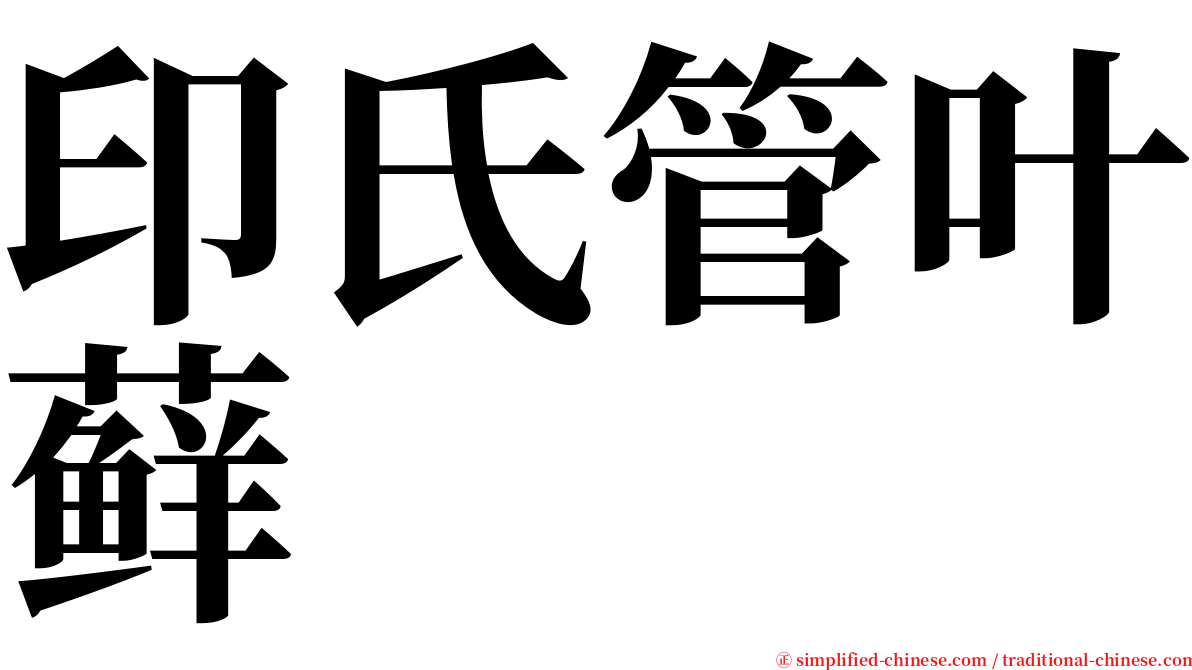 印氏管叶藓 serif font