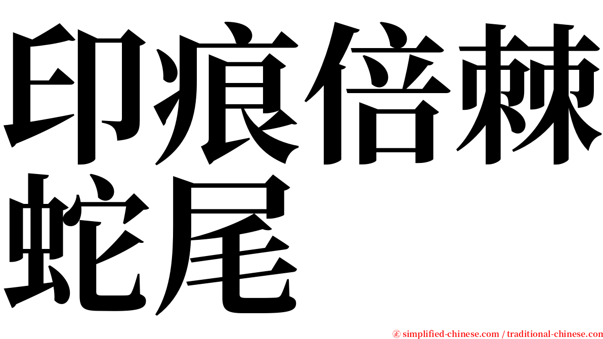 印痕倍棘蛇尾 serif font