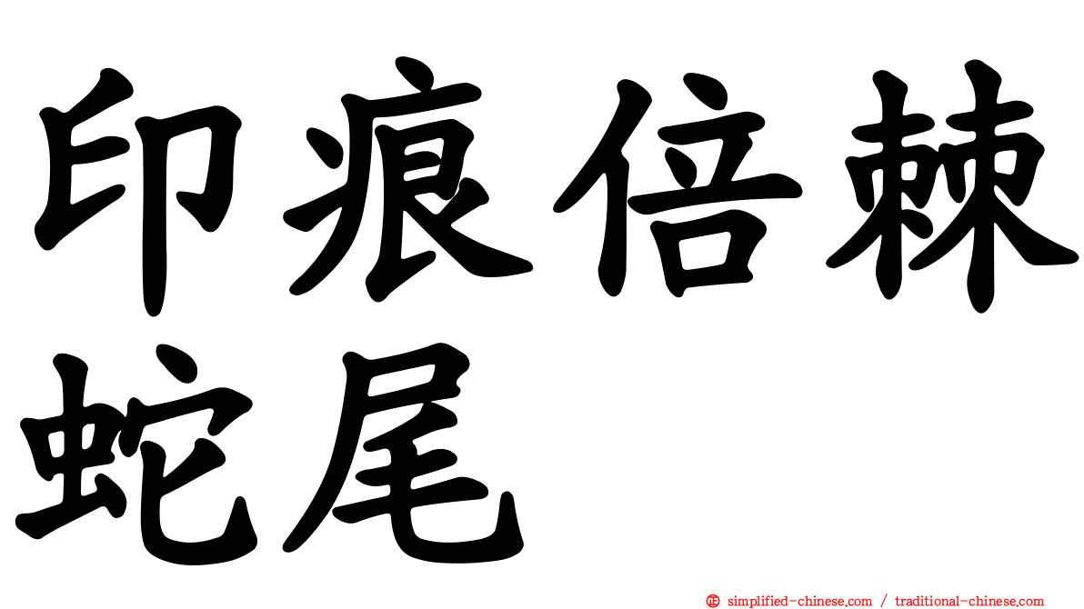 印痕倍棘蛇尾