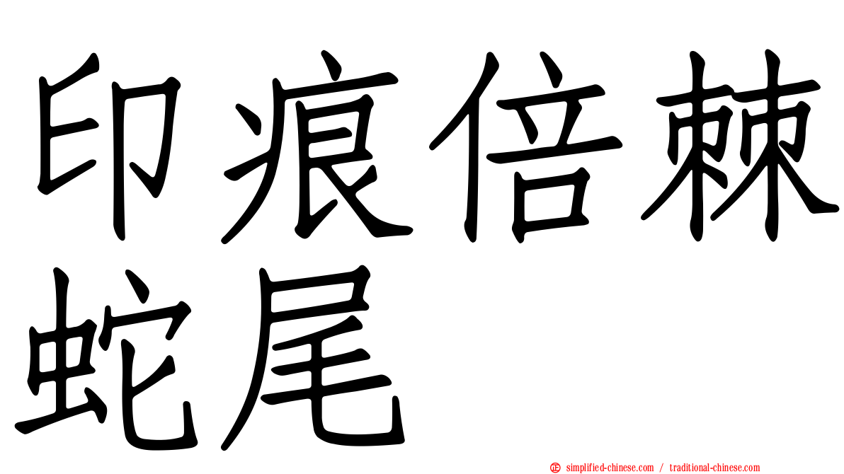 印痕倍棘蛇尾