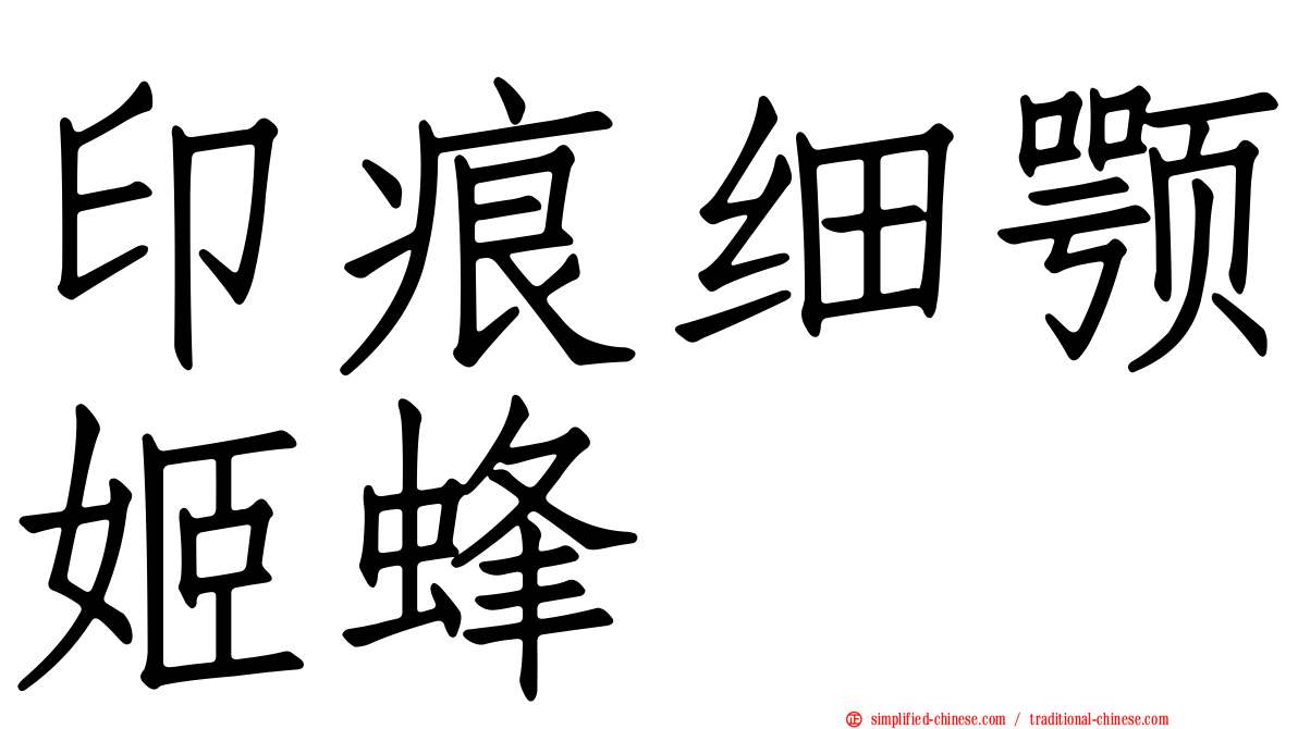 印痕细颚姬蜂