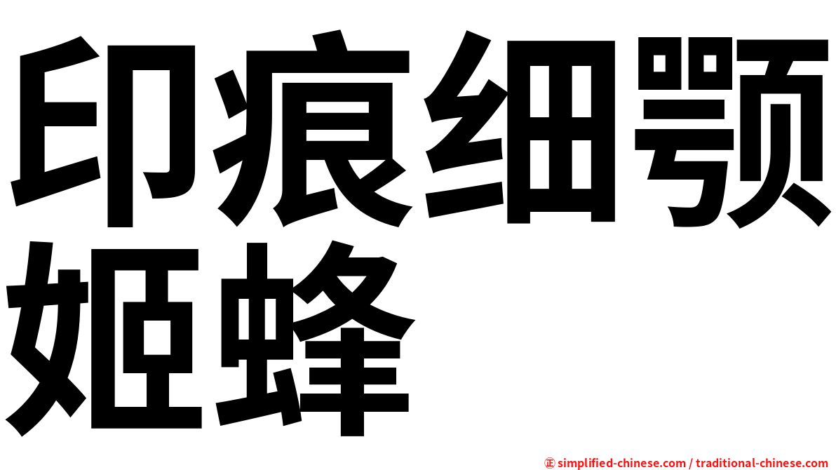 印痕细颚姬蜂