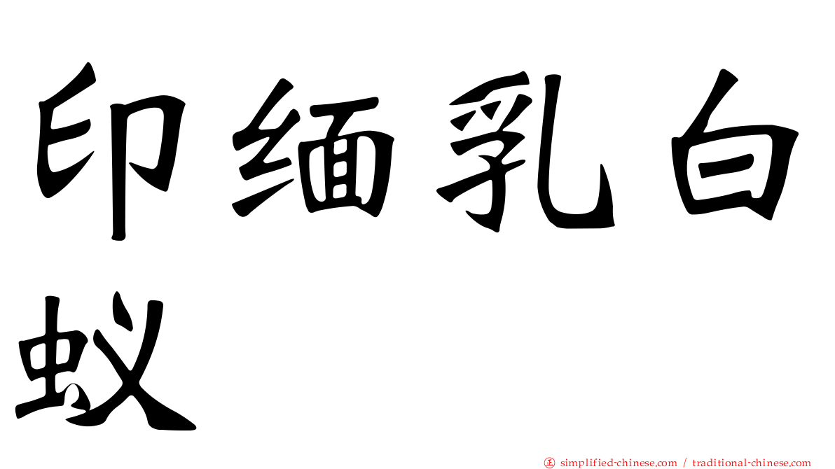 印缅乳白蚁