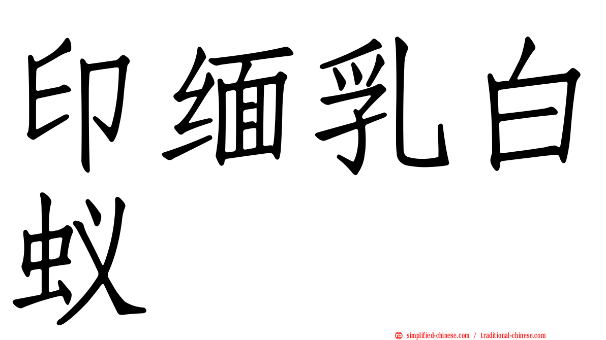 印缅乳白蚁