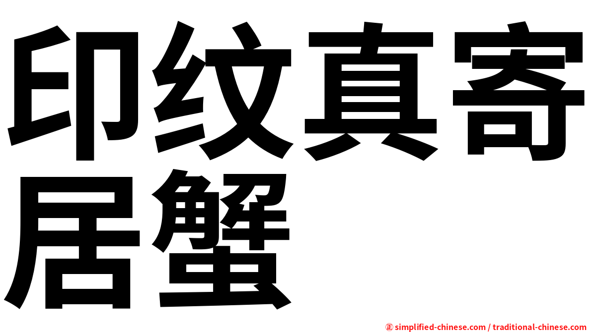 印纹真寄居蟹