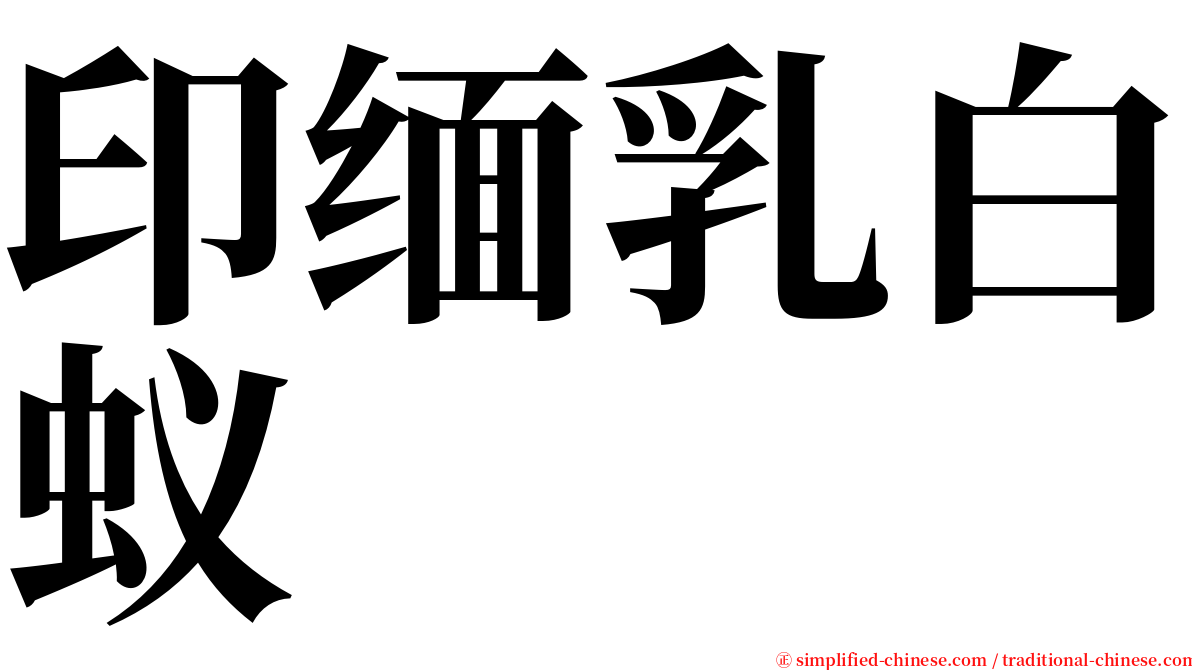 印缅乳白蚁 serif font