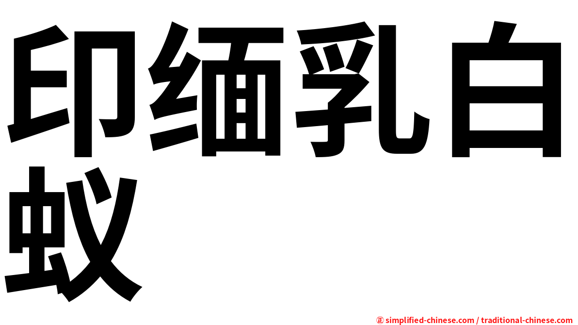 印缅乳白蚁
