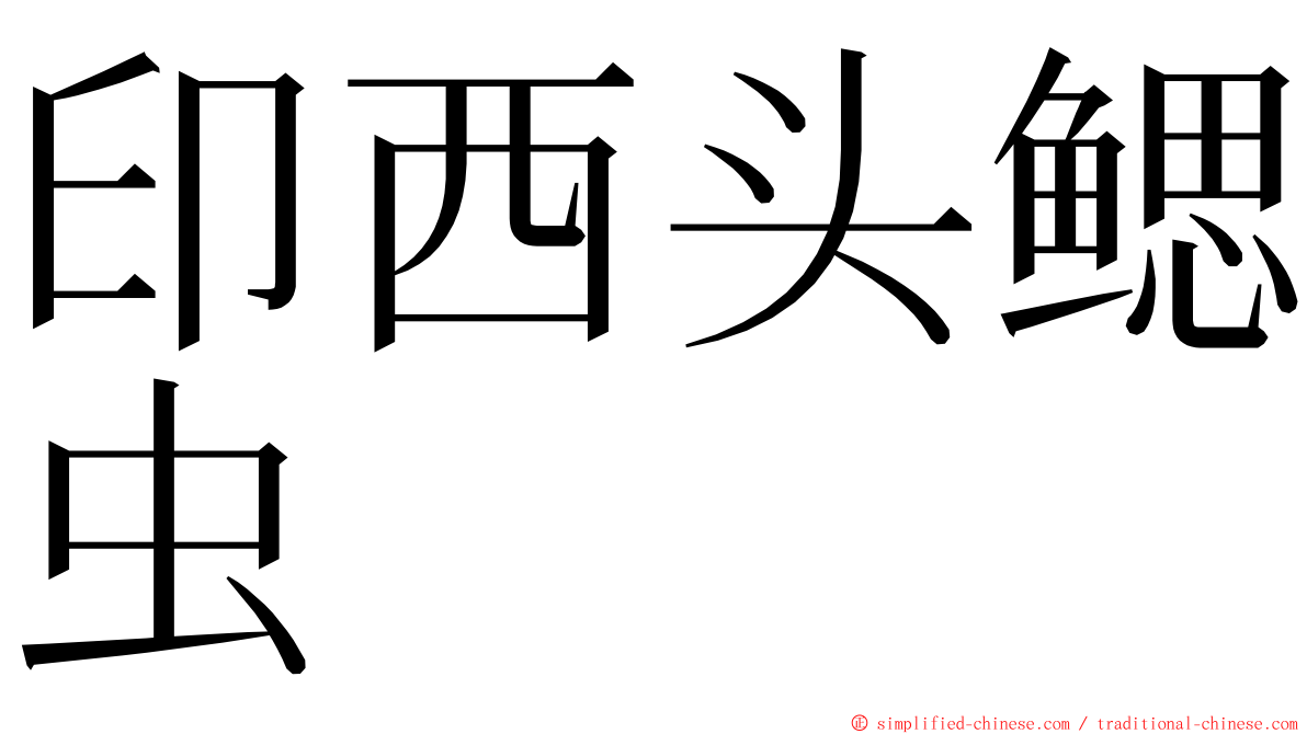 印西头鳃虫 ming font