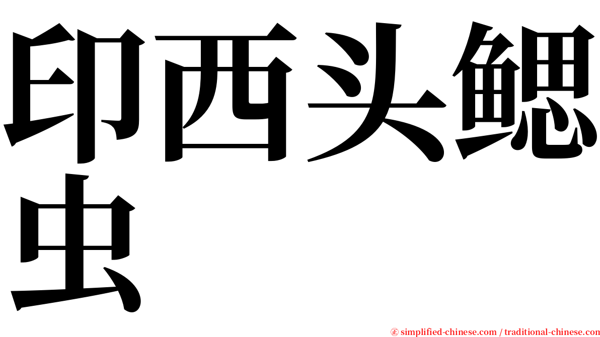 印西头鳃虫 serif font