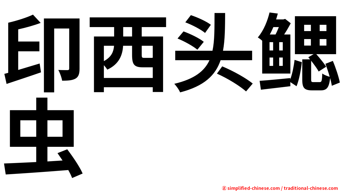 印西头鳃虫
