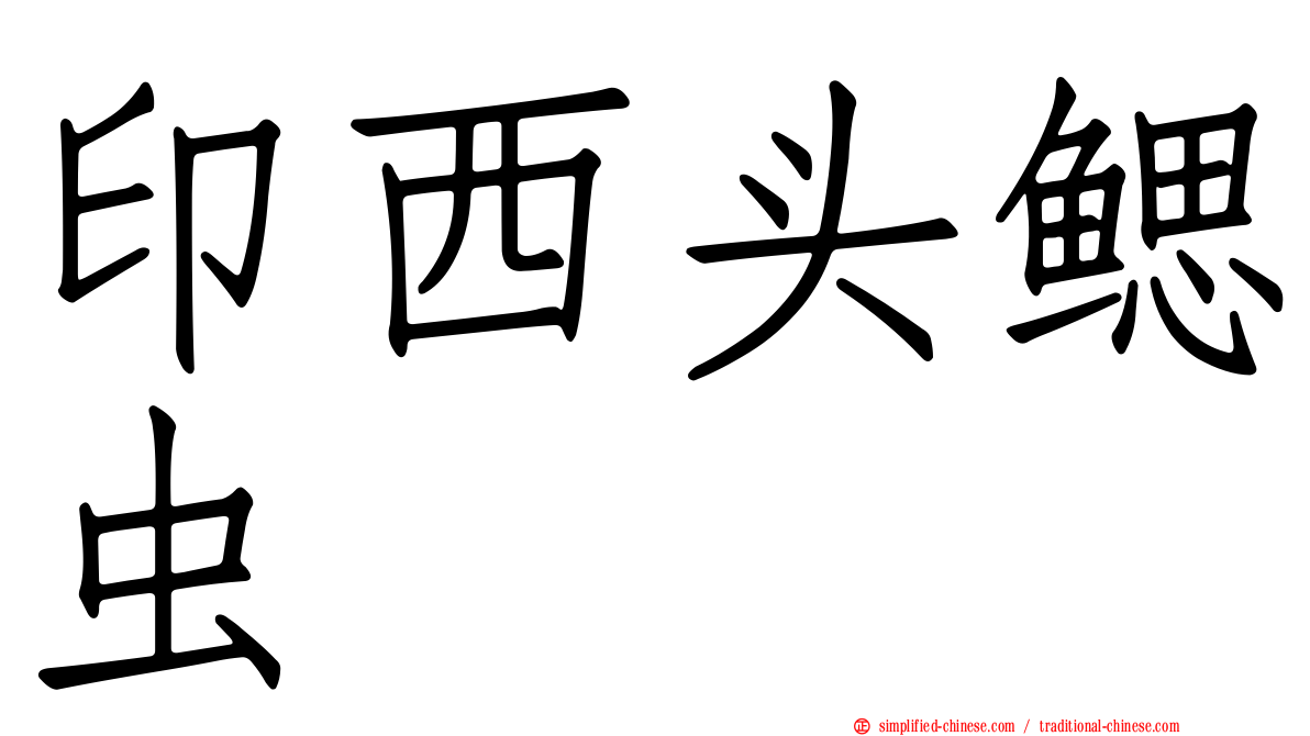 印西头鳃虫