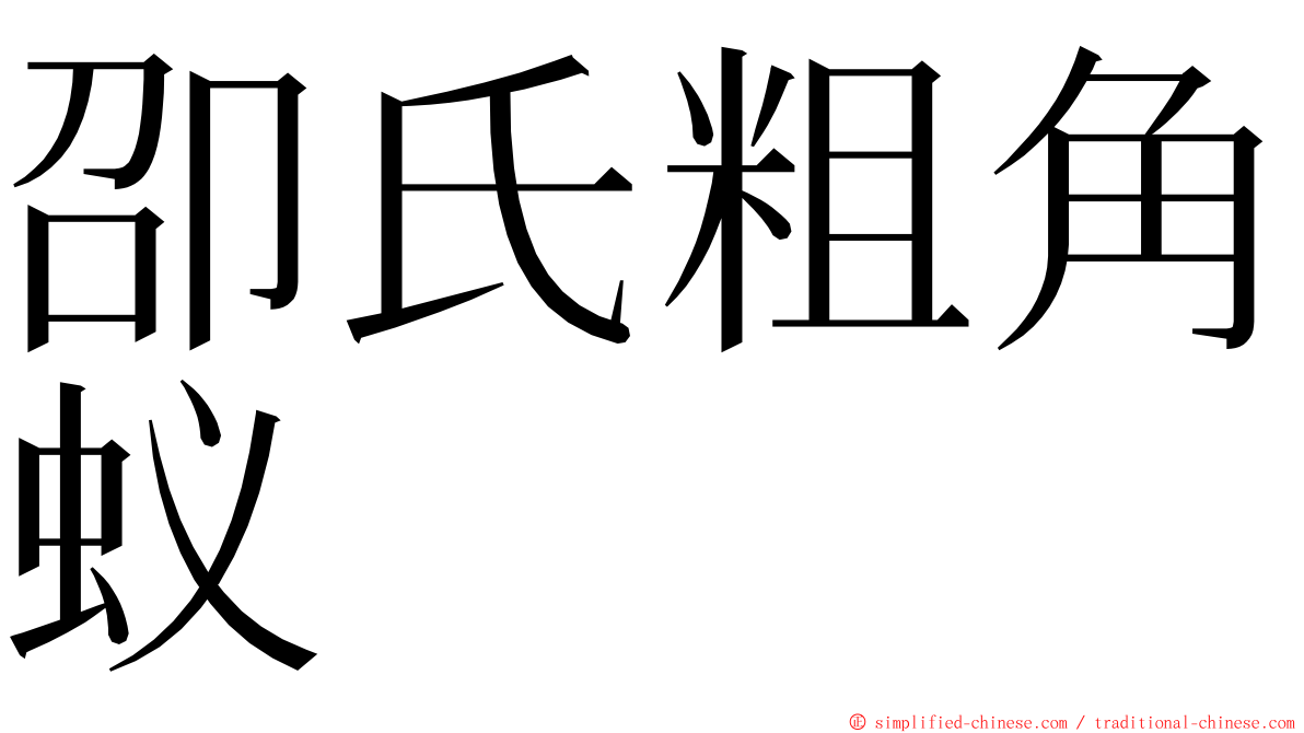 卲氏粗角蚁 ming font