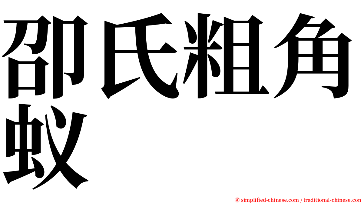 卲氏粗角蚁 serif font