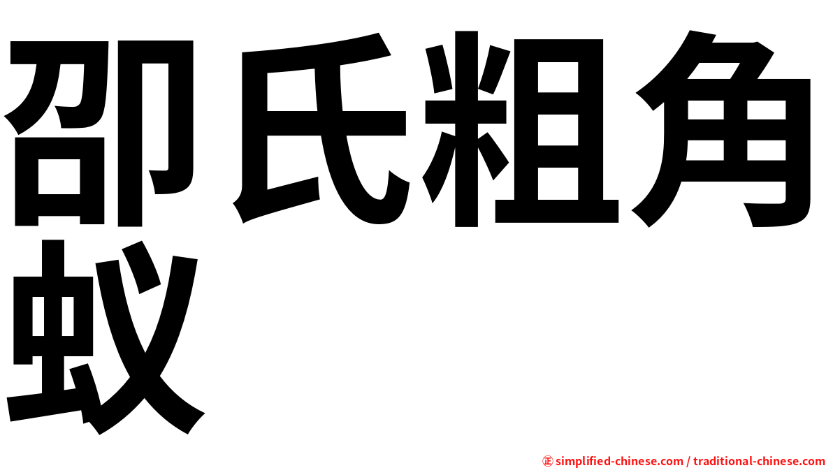 卲氏粗角蚁