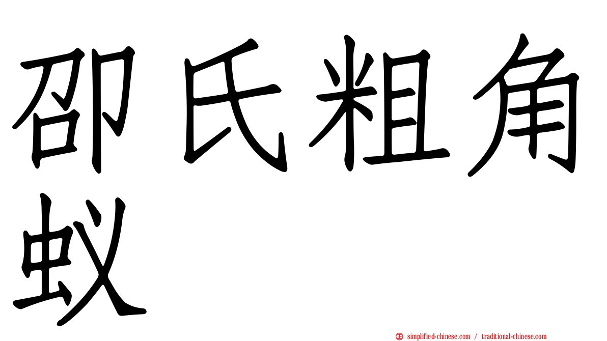 卲氏粗角蚁