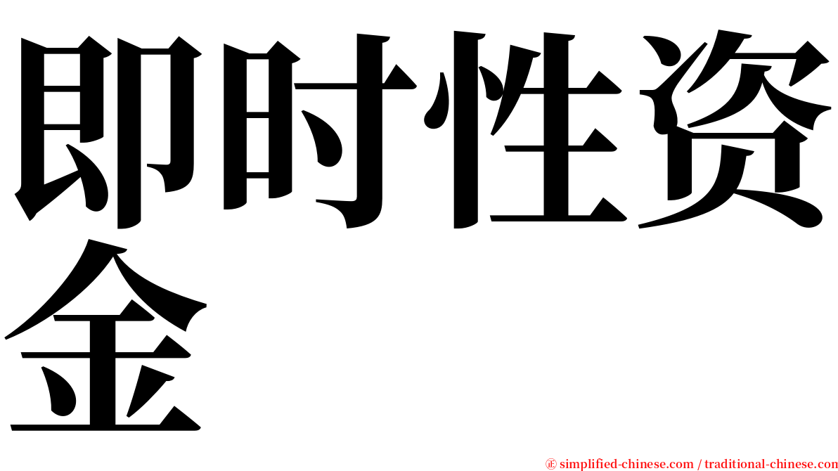 即时性资金 serif font