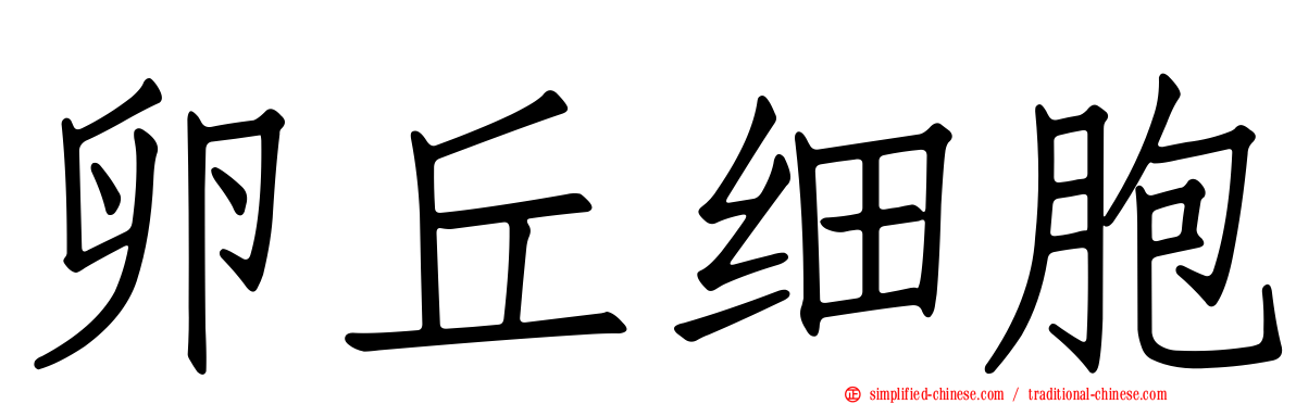 卵丘细胞