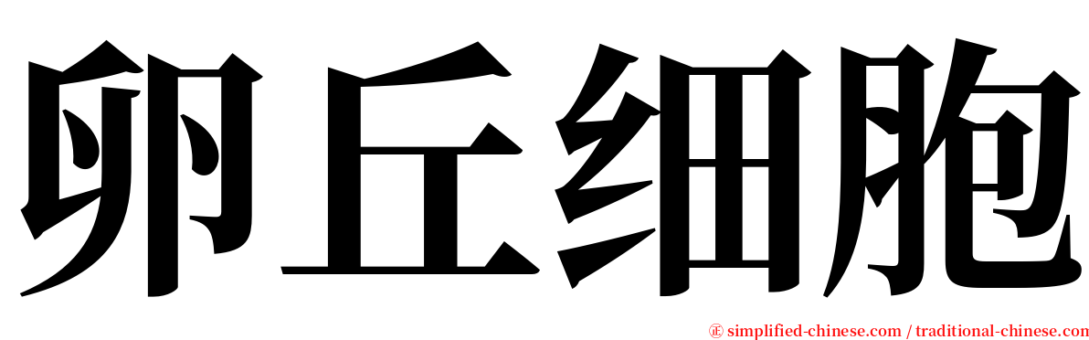 卵丘细胞 serif font