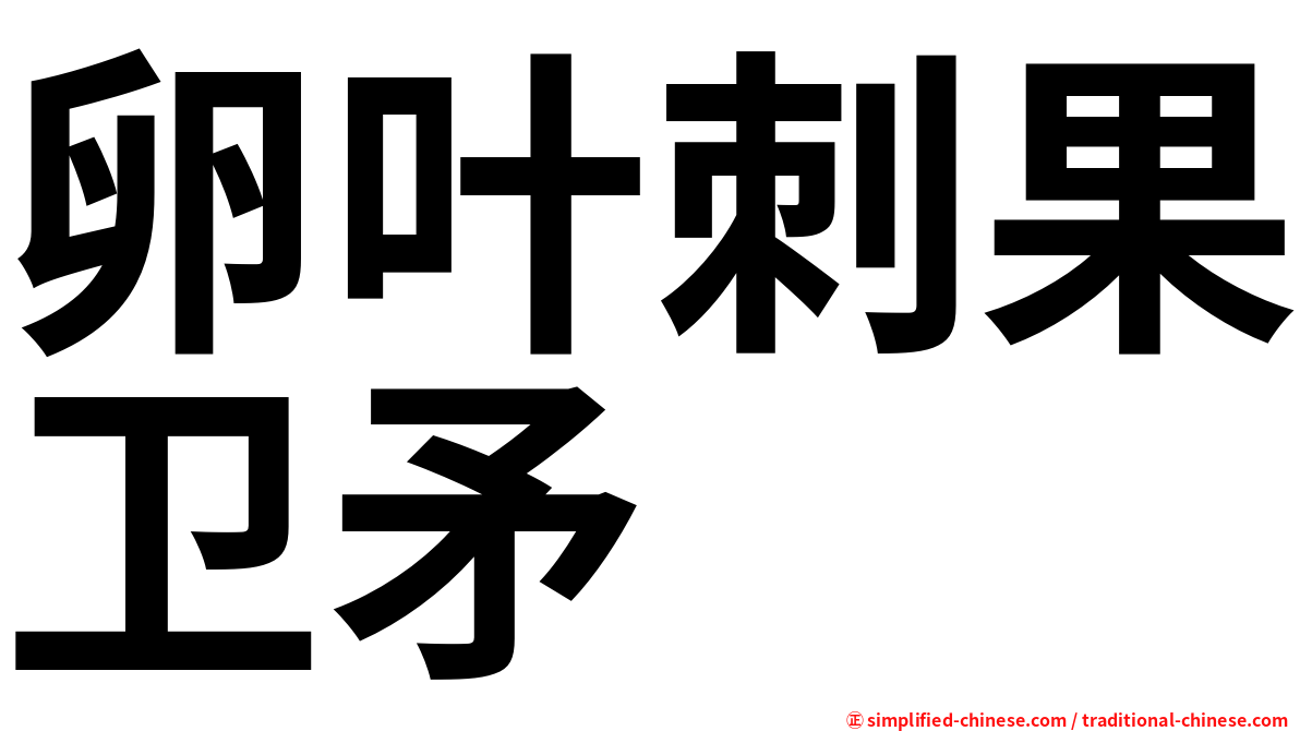 卵叶刺果卫矛