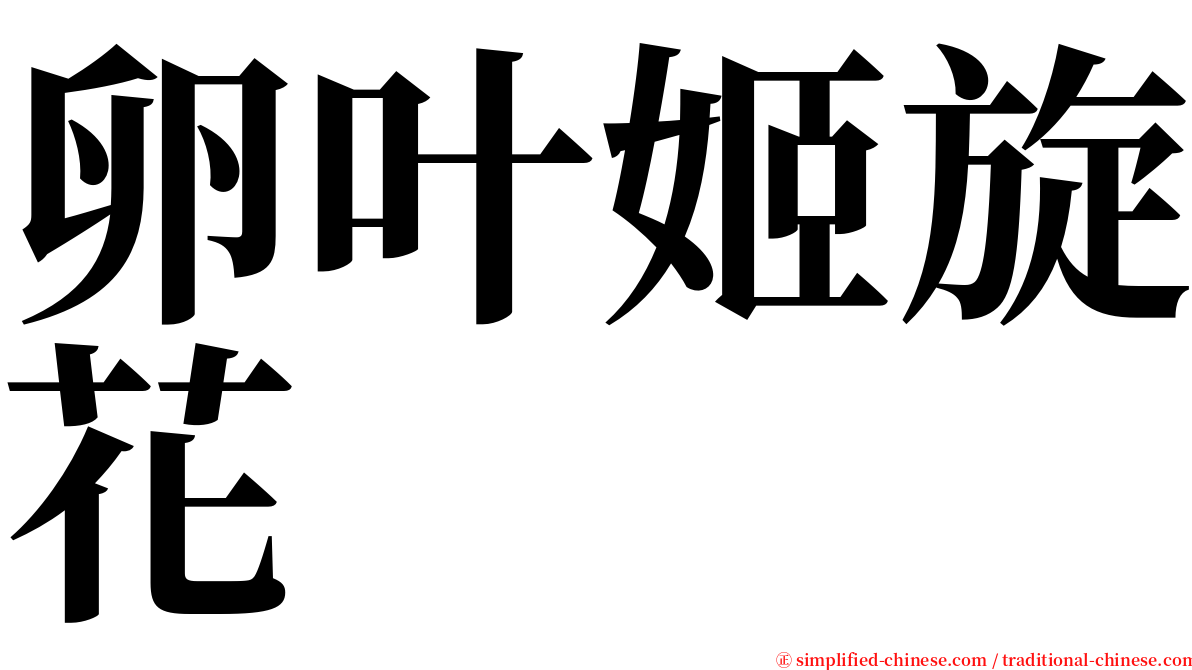 卵叶姬旋花 serif font