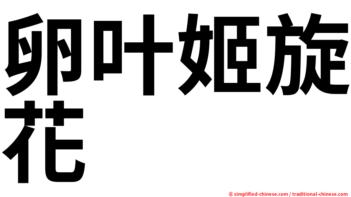 卵叶姬旋花