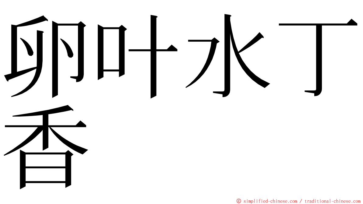 卵叶水丁香 ming font