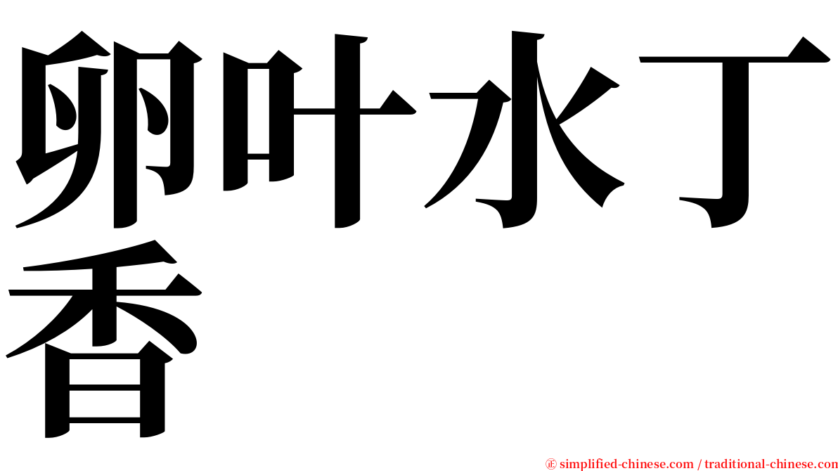 卵叶水丁香 serif font