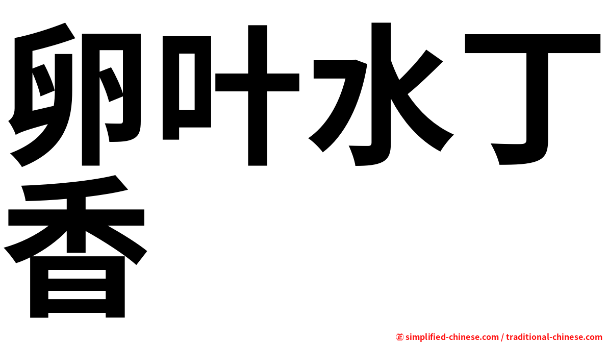 卵叶水丁香